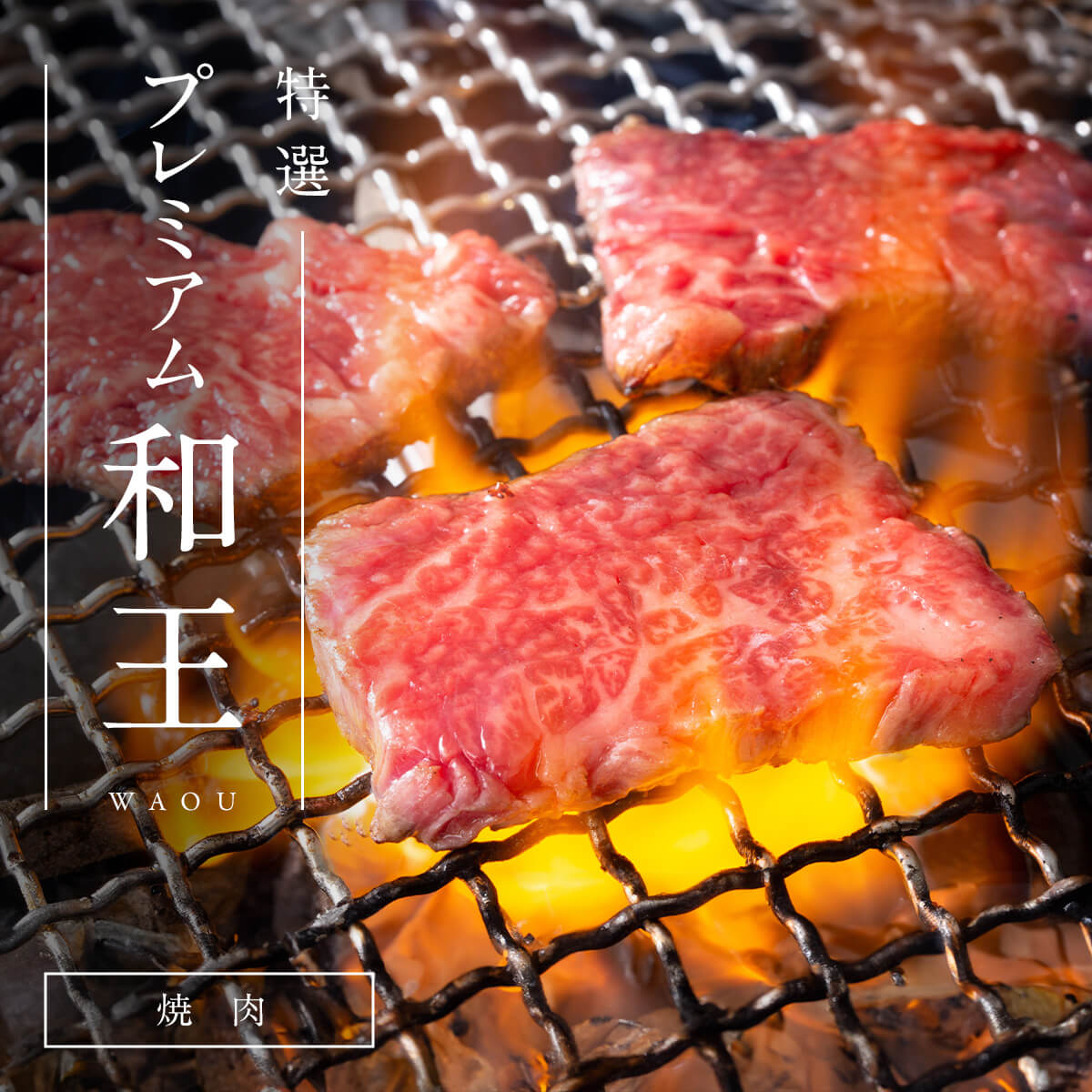 〈第1位〉【熊本県産和王】　和王特選 ロース・バラ焼肉 / 500g
10,000 円 (税込)