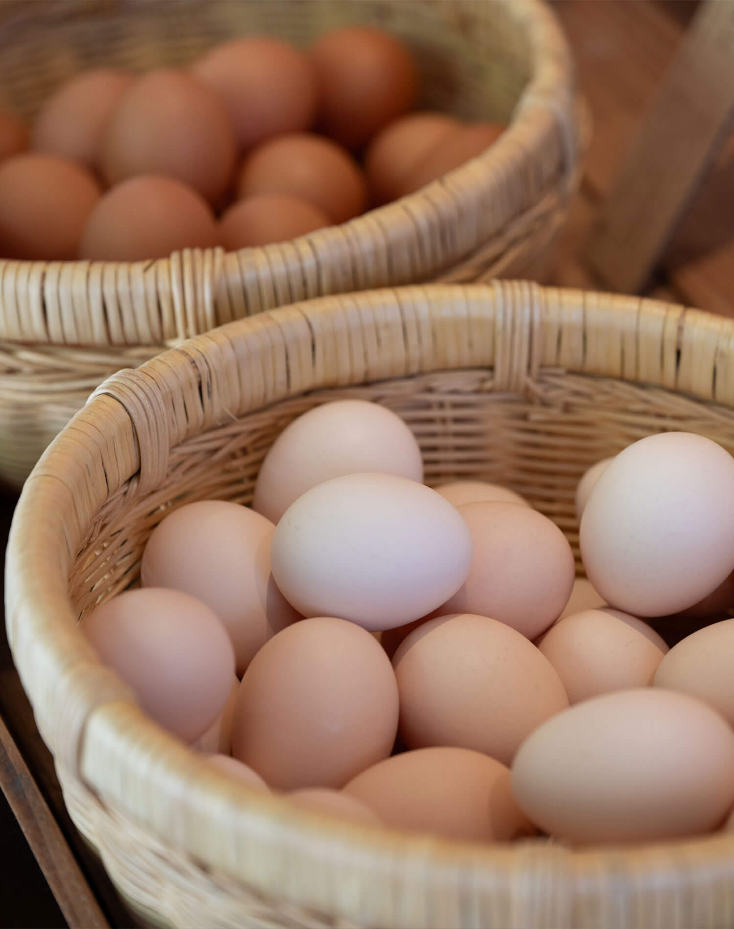 北坂養鶏場 たまご〈さくら〉