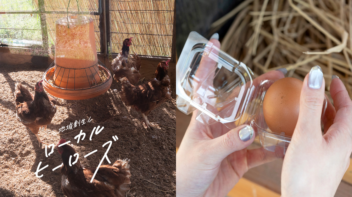 北坂養鶏場取材後編