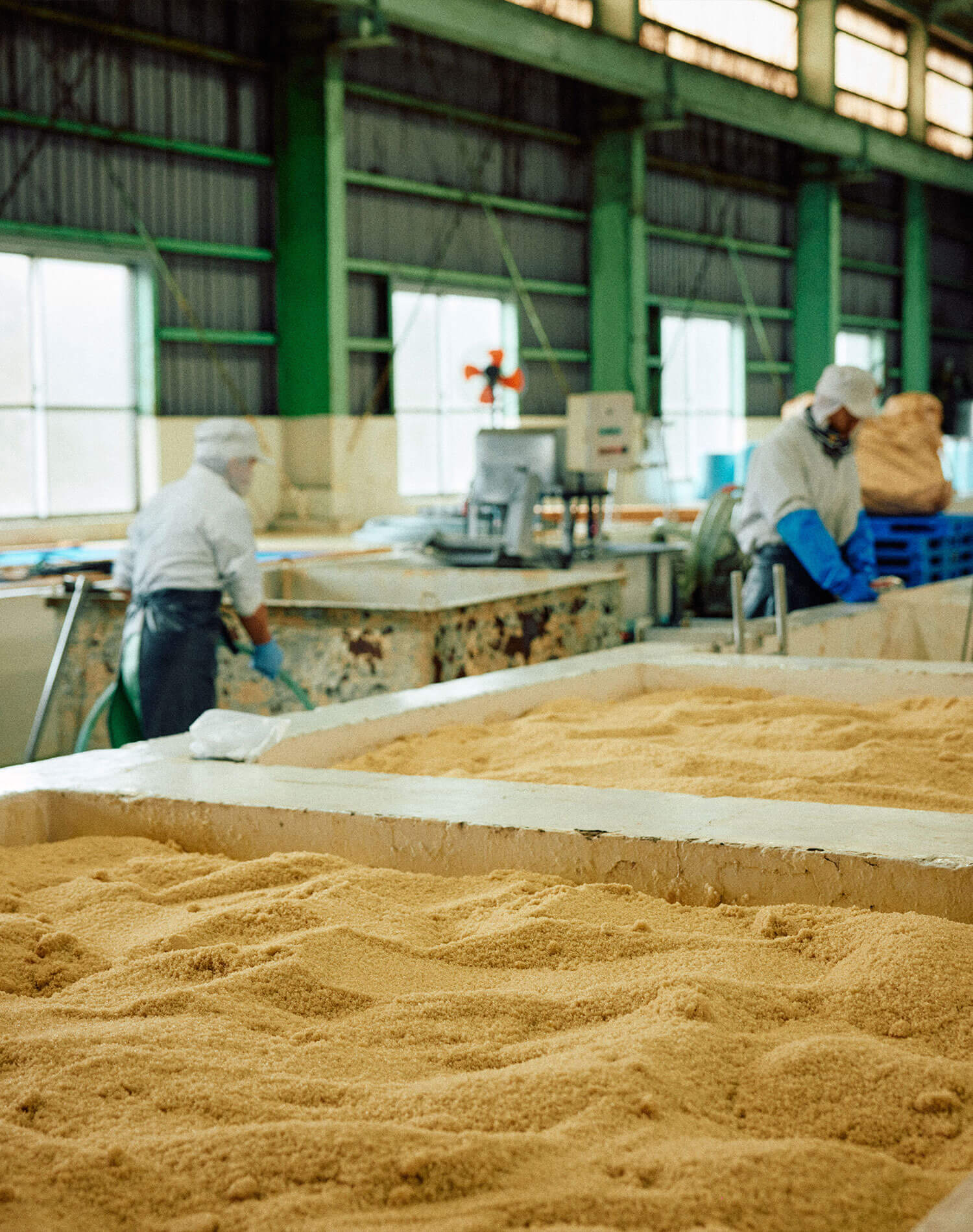 梅と砂糖を重ねて果汁を引き出す様子