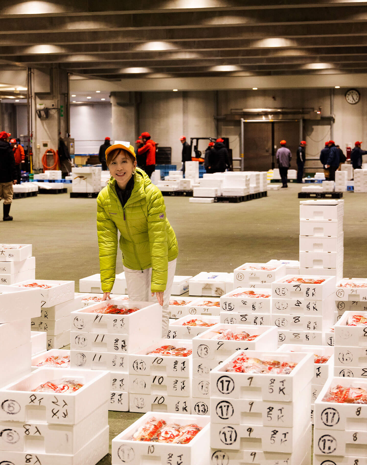 境港水産物地方卸売市場を見学